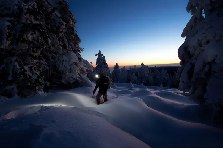 Caminata nocturna en bosque nevado