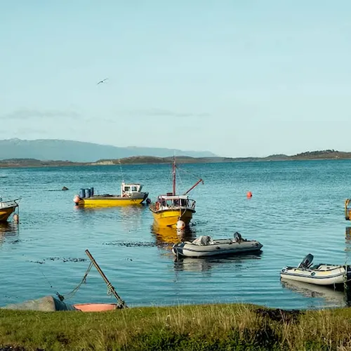 Puerto Almanza centolla
