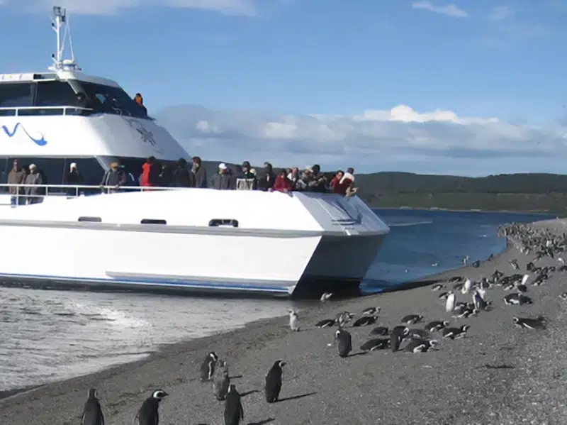 Navegación Canal Beagle Ushuaia - catamarán entre islas patagónicas